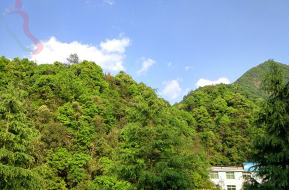 浦江水竹湾景区莲花山庄 - 周边游玩