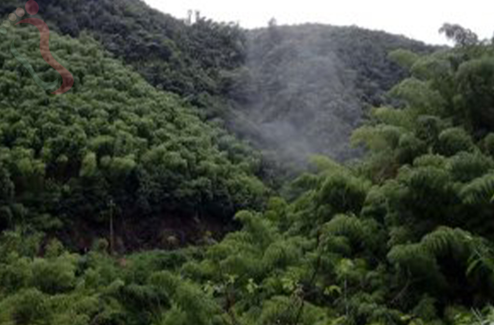 山沟沟凌瀑山庄 - 周边游玩