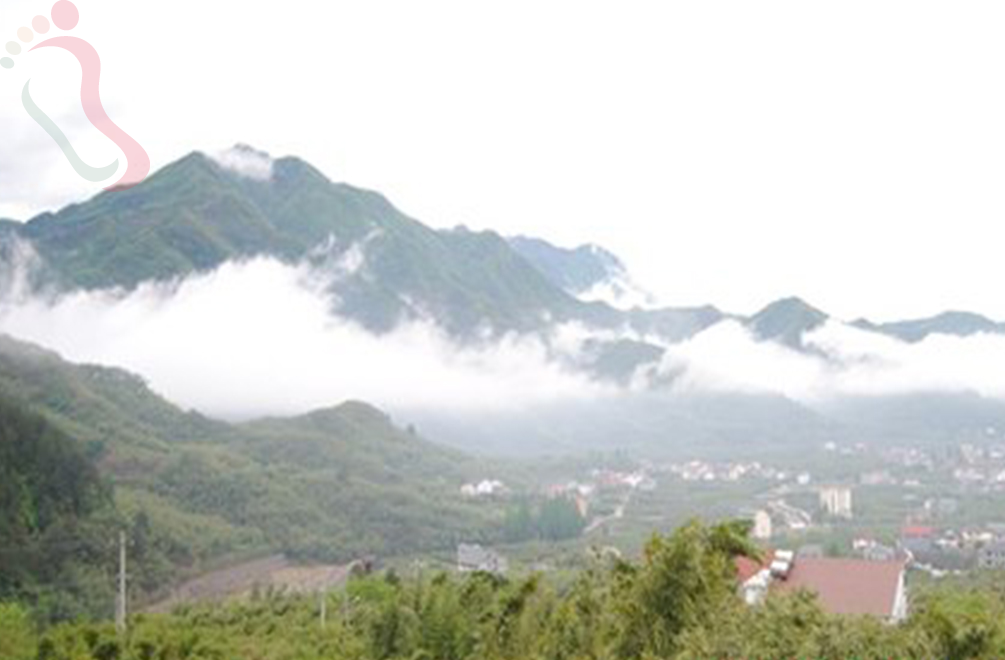 浙江杭州临安天目山宝莲居 - 民宿介绍