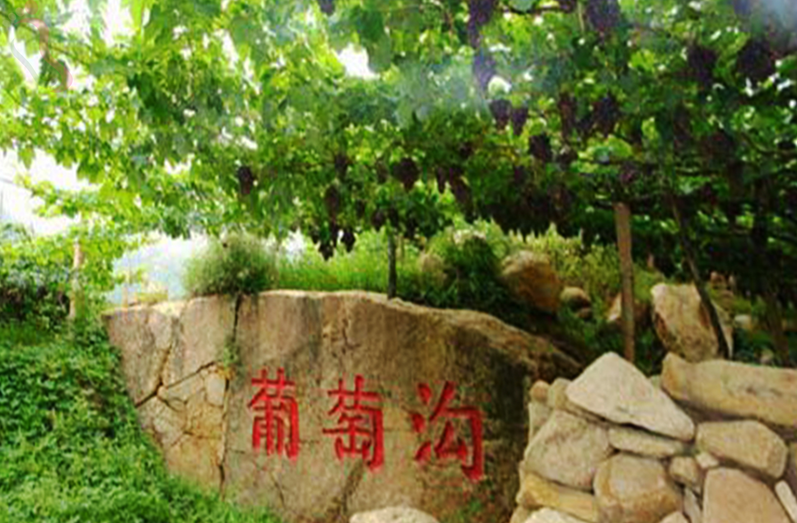 秦皇岛昌黎县葡萄沟山水人家农家院 - 周边游玩