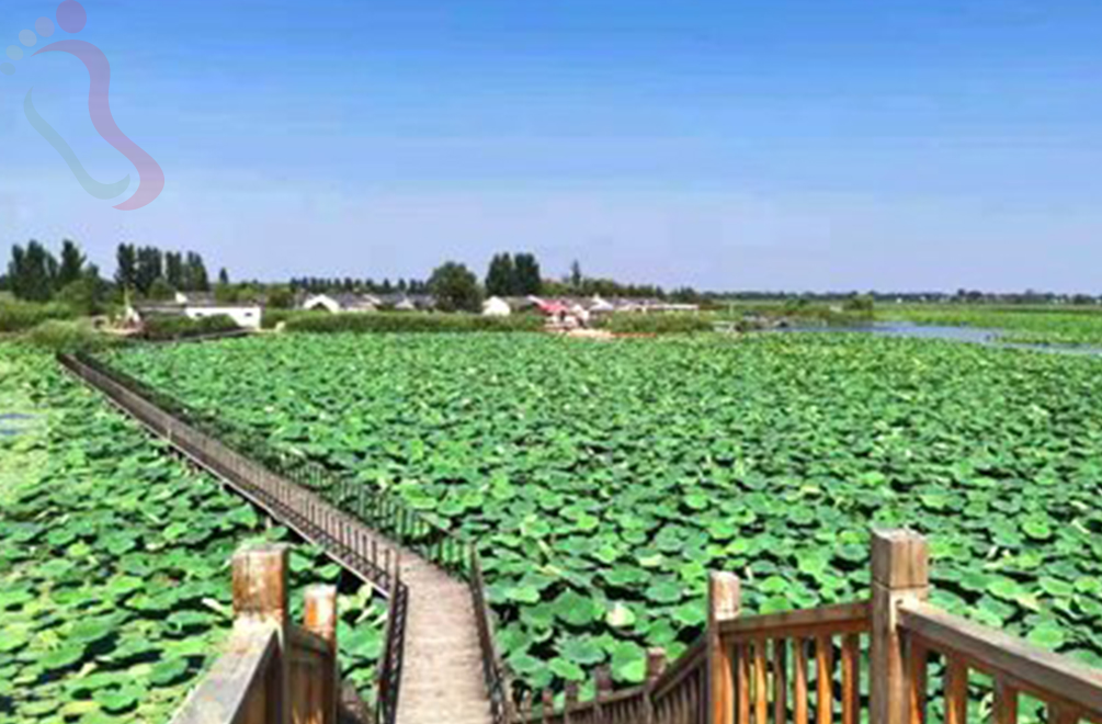 河北保定涞水白洋淀望月岛38号农家院 - 周边游玩