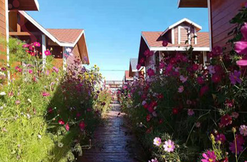 河北张家口张北中都草原诗和远方民宿 - 图片1