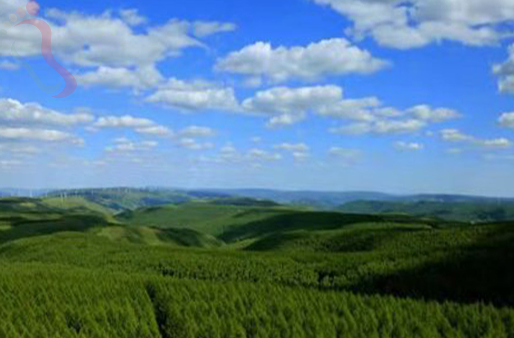 河北承德围场满族蒙古族自治县塞罕坝常顺农家院 - 周边游玩