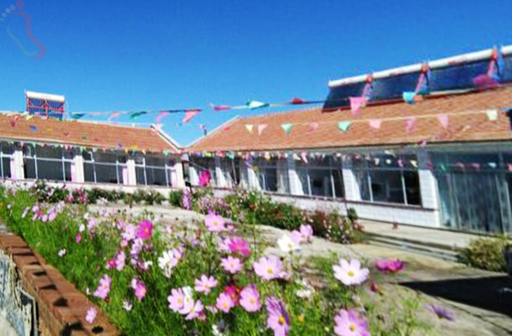 承德丰宁坝上欣欣茹苑农家院 - 图片4