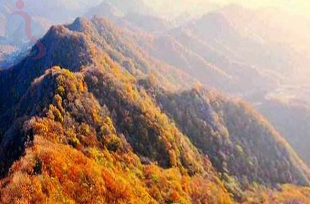 唐山遵化市清东陵老七农家院 - 周边游玩