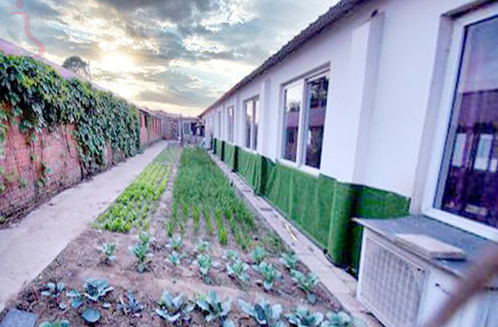 秦皇岛抚宁区昌黎县南戴河鼎兴农家院 - 图片1