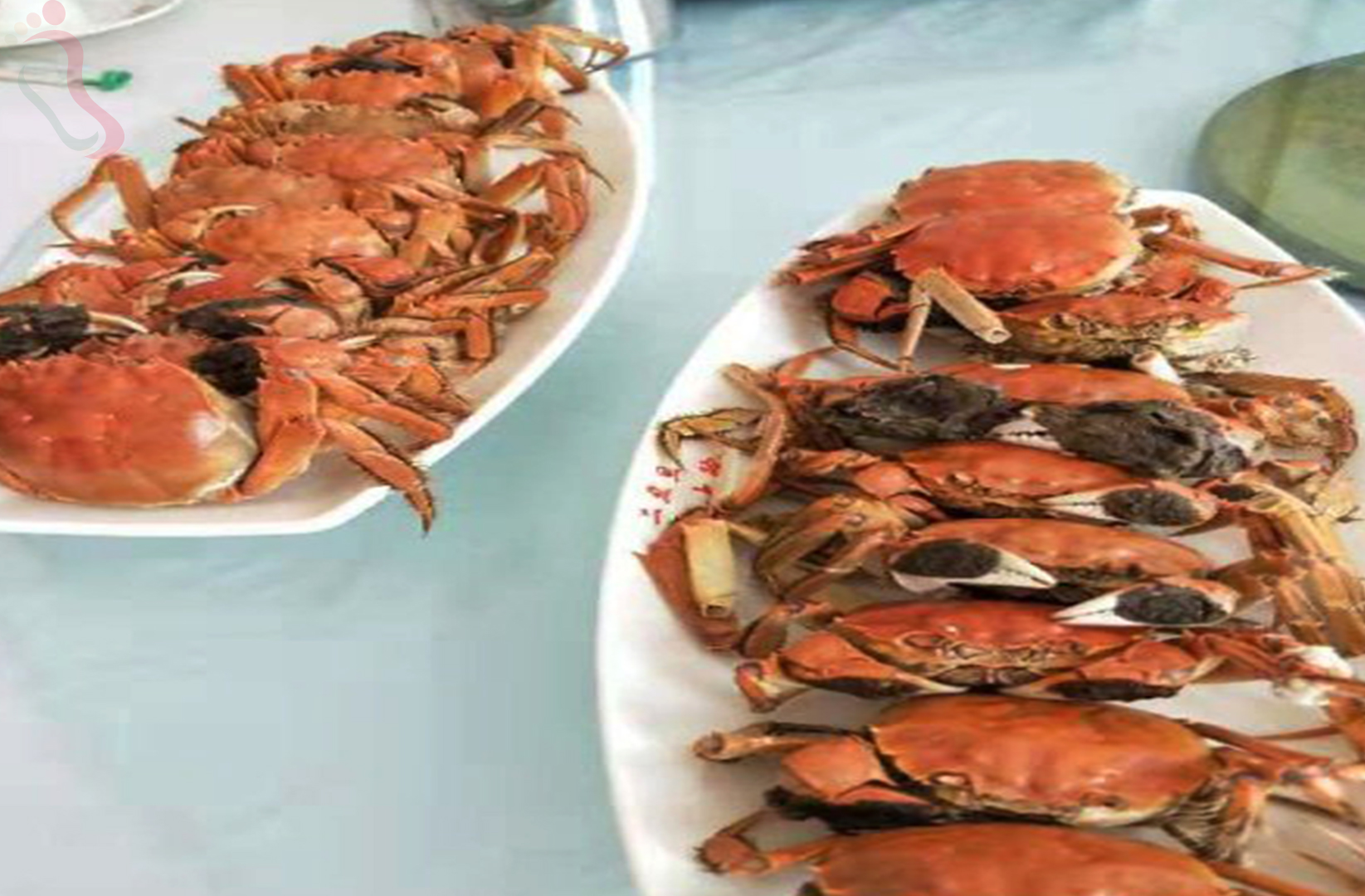 内蒙古呼和浩特市土默特左旗哈素海二丑旦农家院 - 餐饮介绍
