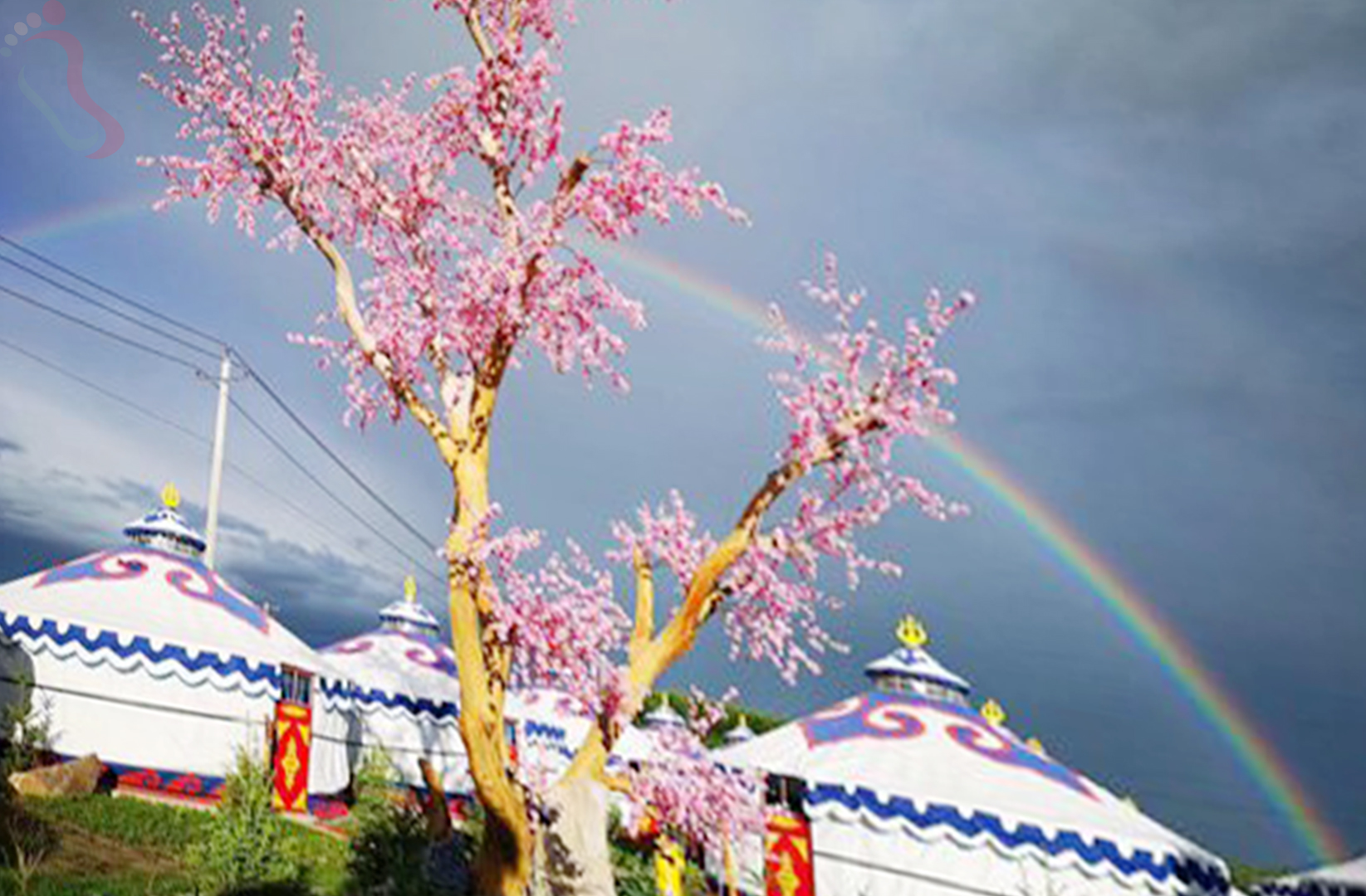 内蒙古锡林郭勒盟多伦县多伦湖蒙古包风情园 - 图片3