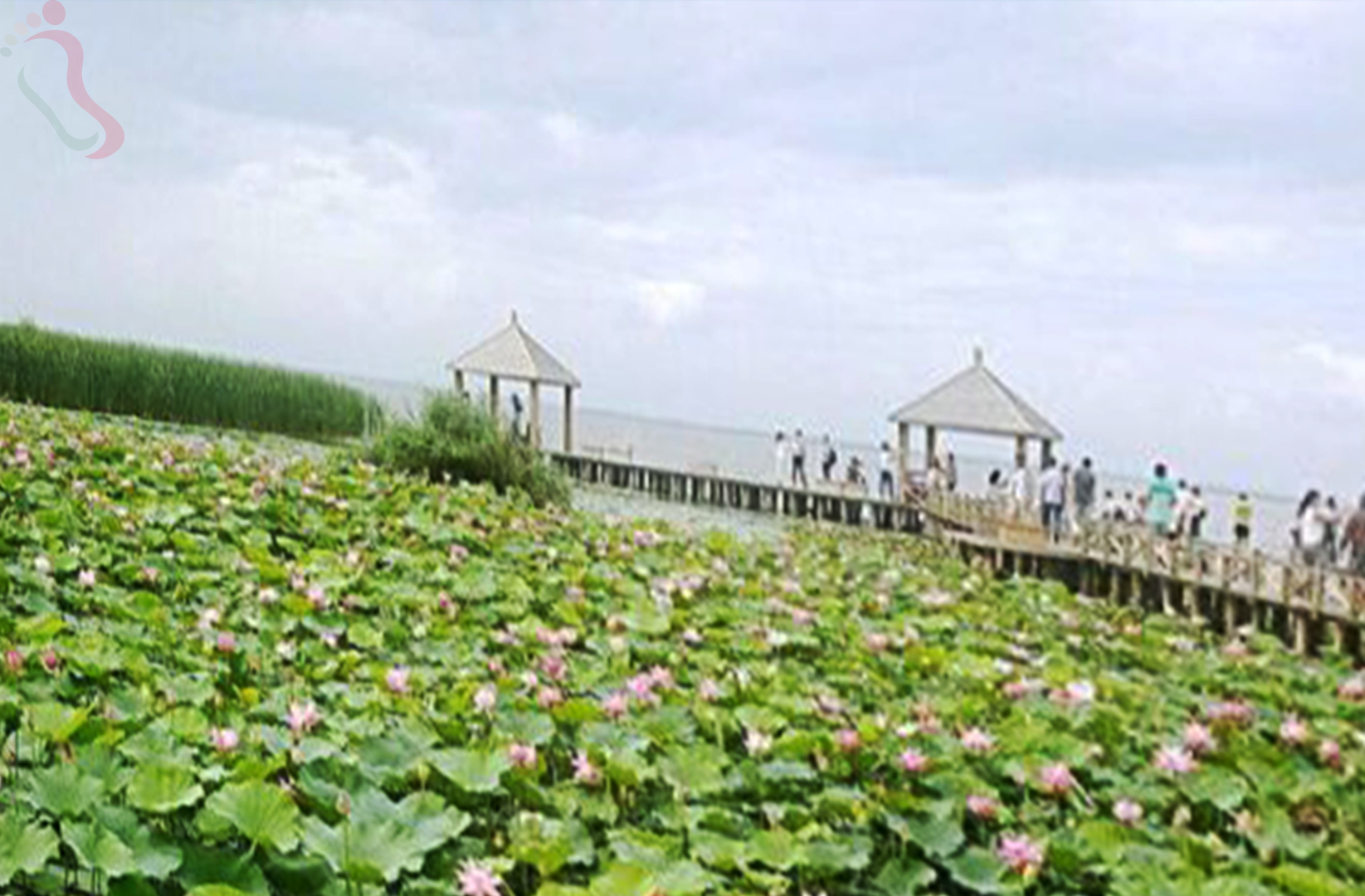 内蒙古呼和浩特市土默特左旗哈素海二丑旦农家院 - 周边游玩