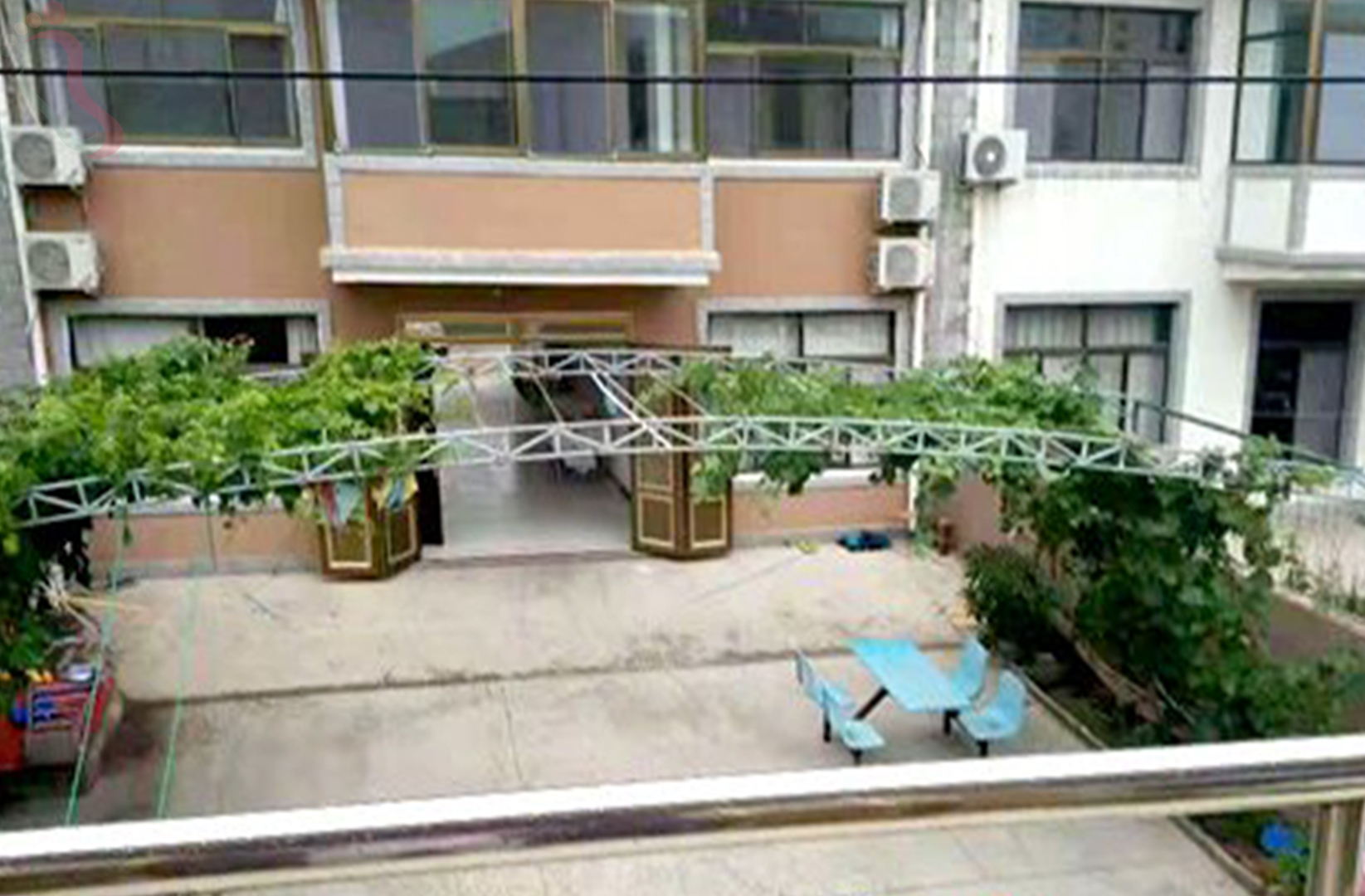 河北秦皇岛抚宁南戴河鹏哥特色民宿 - 图片2