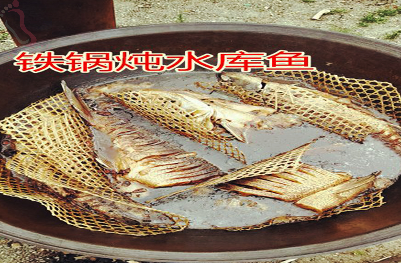 内蒙古锡林郭勒盟多伦县多伦湖曲家湾渔村 - 餐饮介绍
