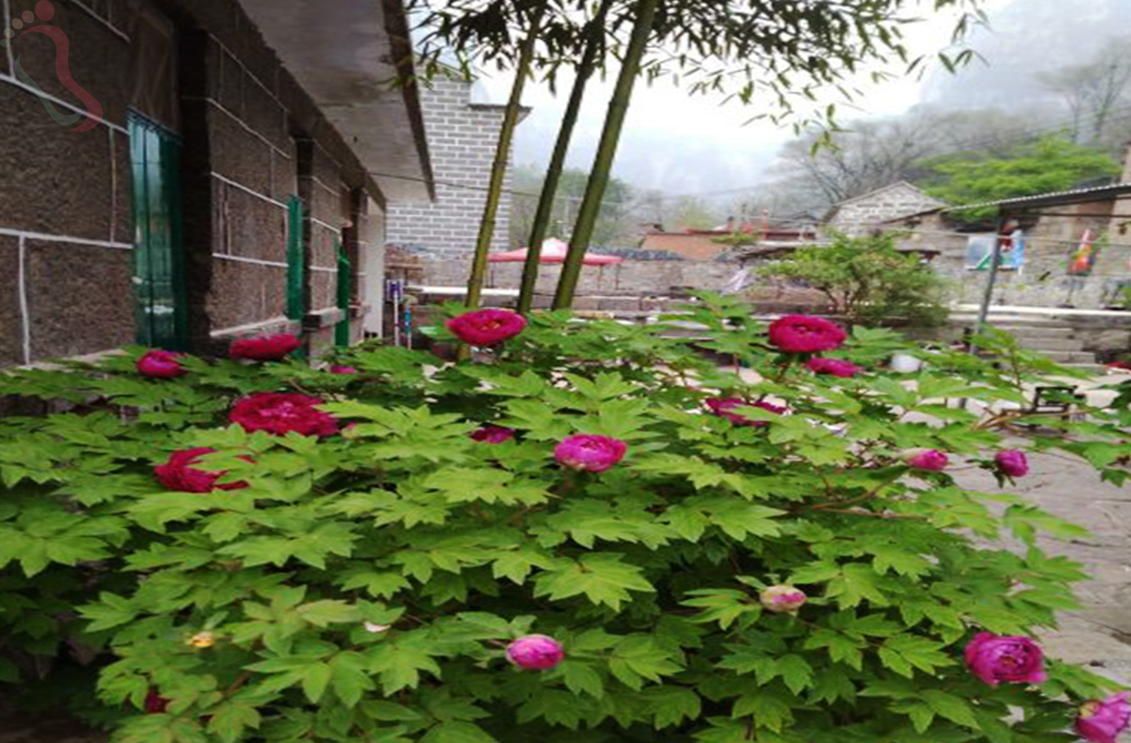 河南新乡市辉县市齐王寨八号农家院 - 图片1