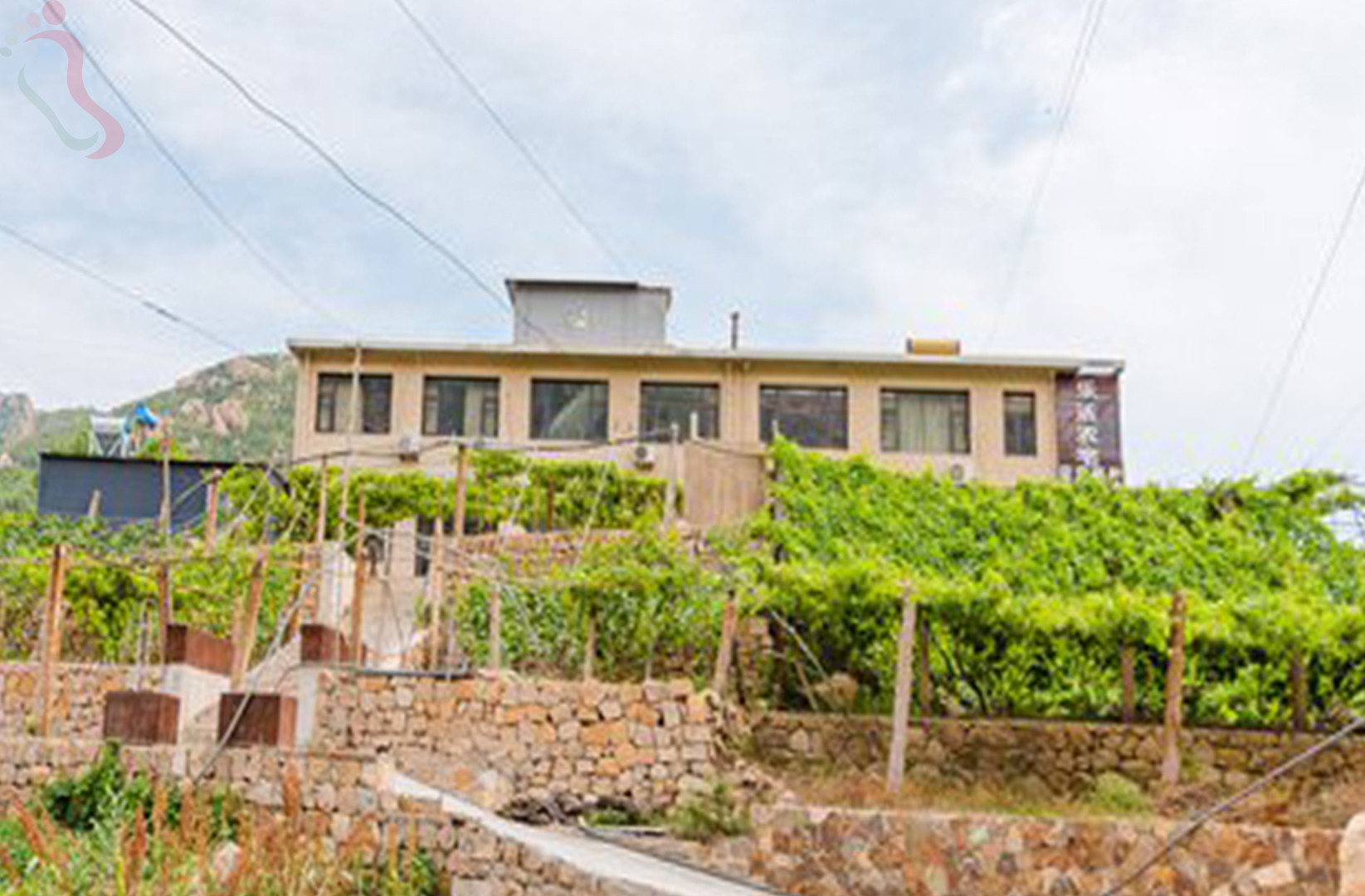 河北秦皇岛昌黎葡萄沟翡翠轩农家院 - 图片2