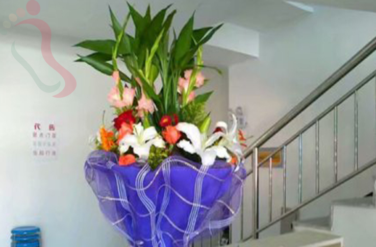 河北秦皇岛抚宁南戴河青姐农家院 - 图片1