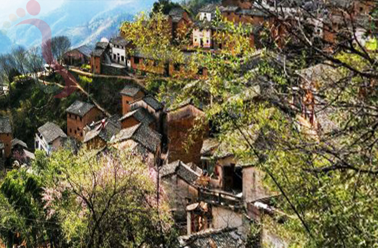 安徽黄山歙县坡山村竹林小屋农家乐