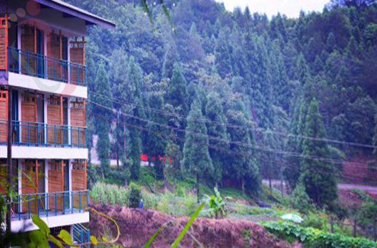 重庆四面山仙丹夫妇客栈（民宿） - 图片2