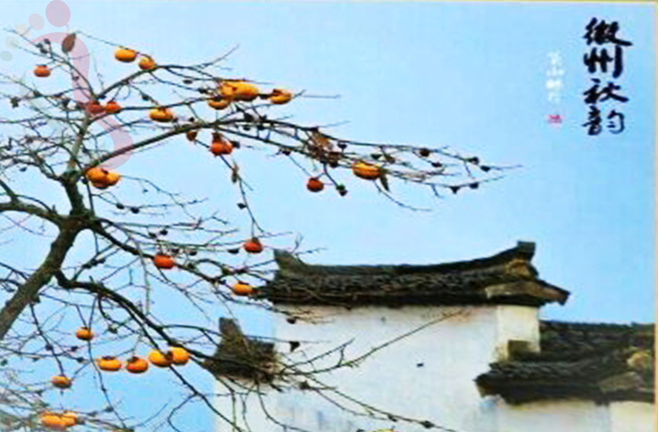 安徽黄山市休宁县金龙山之龙云楼农家乐 - 图片2