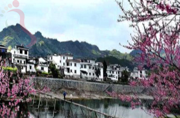 安徽黄山市歙县坡山农家乐接待中心 - 周边游玩
