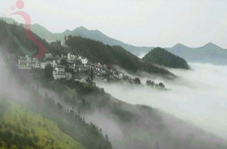 安徽黄山歙县坡山村竹林小屋农家乐 - 周边游玩