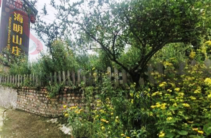 重庆九龙坡金凤镇海兰云天农家乐 - 图片1