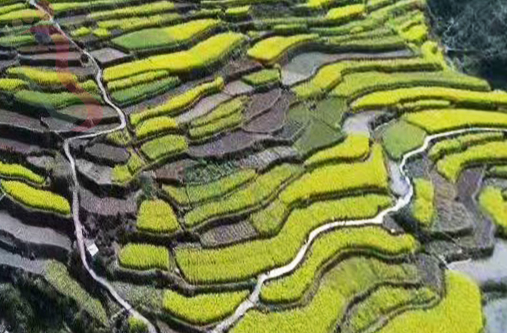 安徽黄山市歙县三阳镇紫云山庄 - 周边游玩