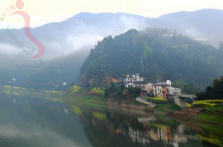 安徽黄山歙县坡山村竹林小屋农家乐 - 周边游玩