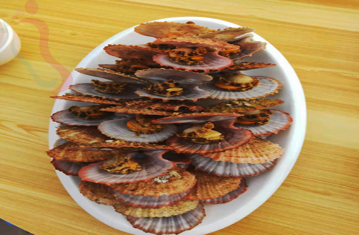 河北秦皇岛抚宁区南戴河海富农家院 - 餐饮介绍