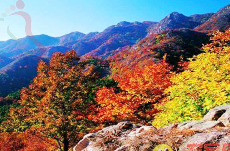 河北唐山遵化清东陵长虹农家院 - 周边游玩