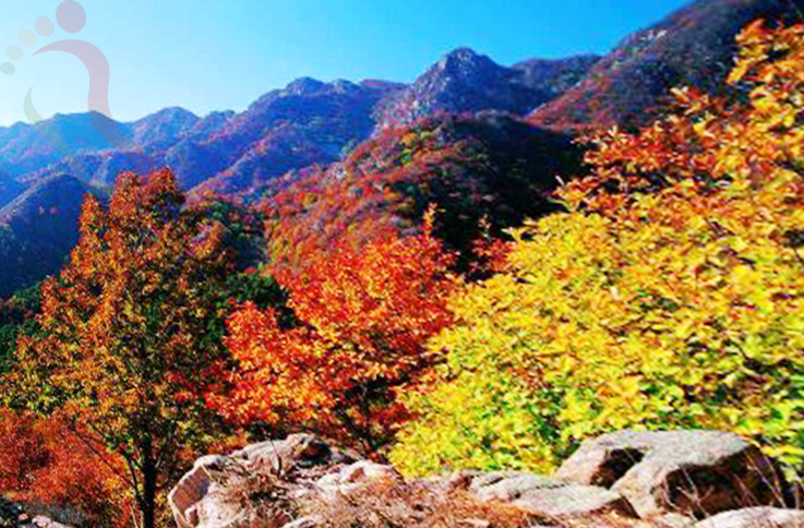 河北唐山遵化留客居农家院