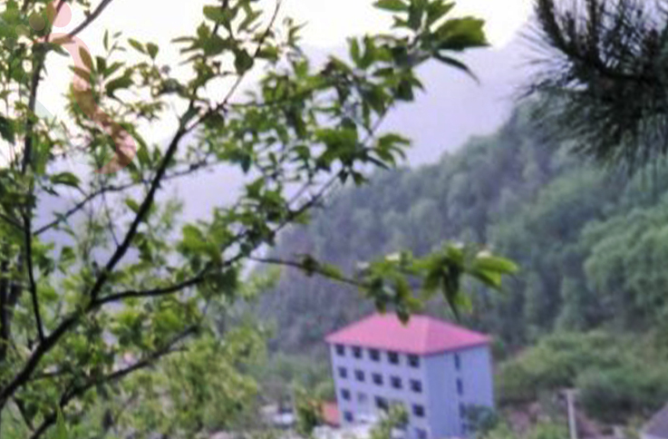 河北承德兴隆县花市村奇悦农家院 - 图片3