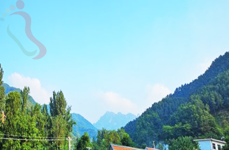 河北保定高碑店市花市俊合农家院 - 图片1