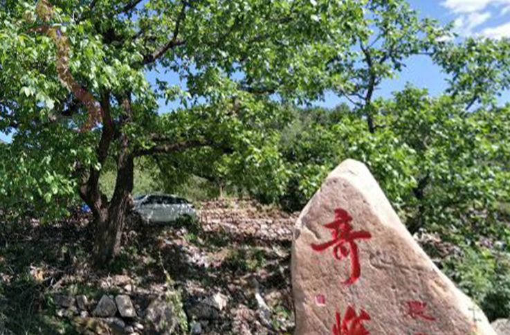 河北承德兴隆县花市村奇悦农家院 - 图片4