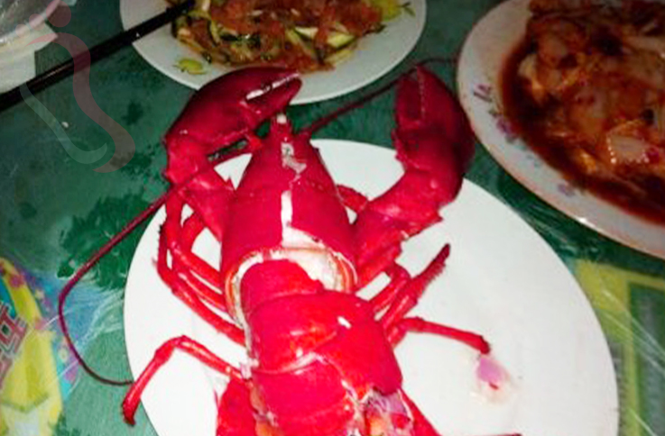 河北秦皇岛抚宁区南戴河望海轩宾馆 - 餐饮介绍