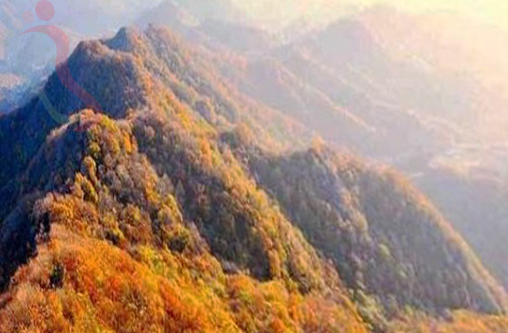 河北唐山遵化清东陵长虹农家院 - 周边游玩