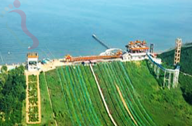 河北秦皇岛抚宁区南戴河涛哥农家院 - 周边游玩