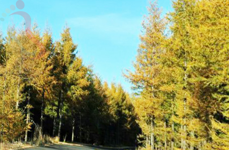 河北张家口张北草原天路景彩山庄 - 周边游玩