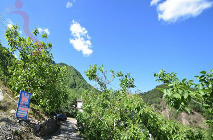 河北承德兴隆县花市村山里红农家院 - 图片1