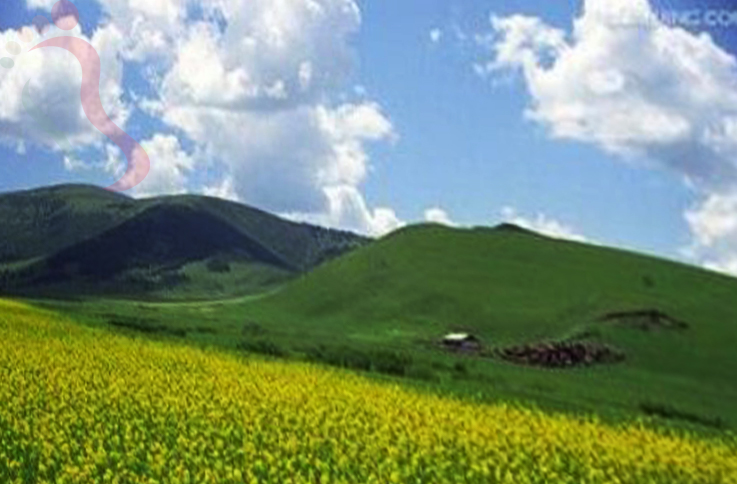 河北承德丰宁坝上草原美夏山庄 - 周边游玩
