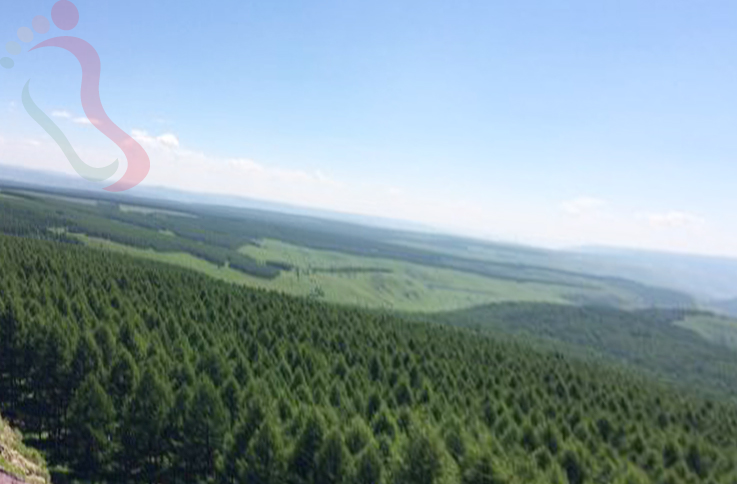 河北承德围场满族蒙古族自治县塞罕坝-玉梅农家院 - 周边游玩