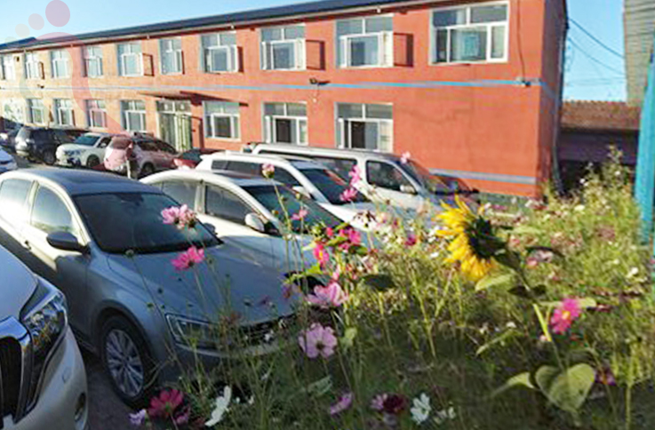 河北承德丰宁坝上草原晓平度假苑 - 图片2