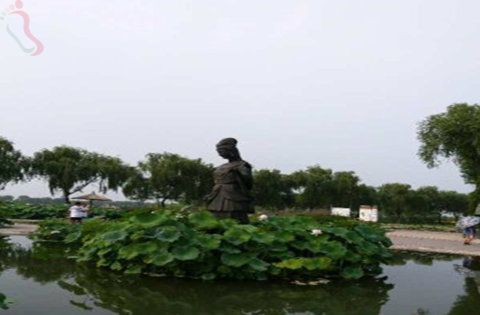 河北保定安新县白洋淀荷园农家院 - 周边游玩