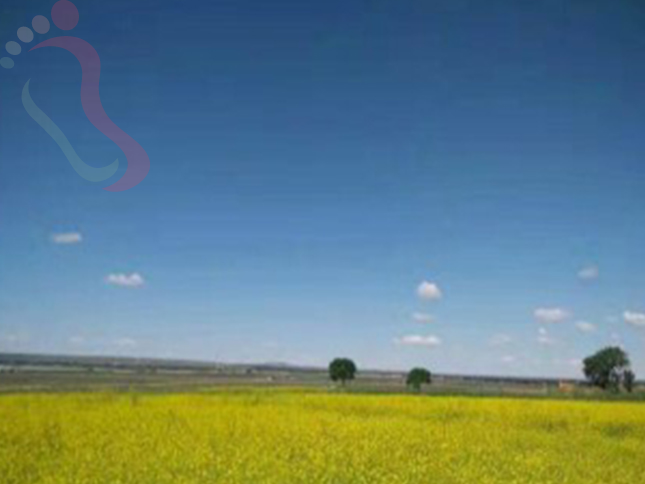 河北张家口张北坝上草原京缘农庄 - 周边游玩