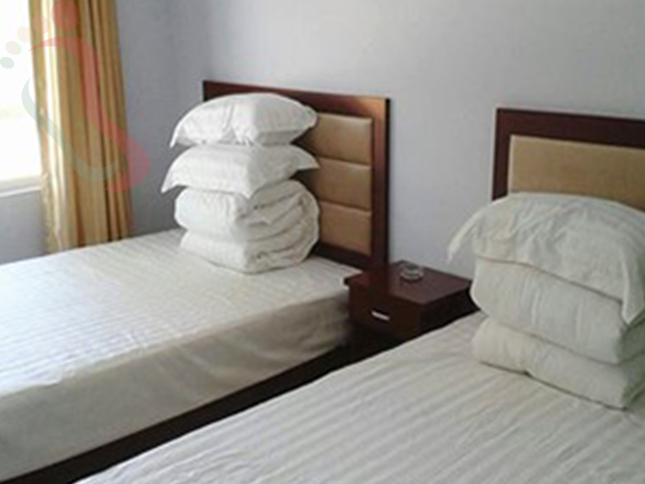 河北张家口沽源坝上天鹅湖小利农家院房间图片3