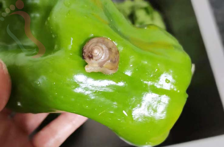 北京密云清水河乐野漫居民宿-密云旅游清水河农家院密云民宿密云清水河民宿 - 图片7