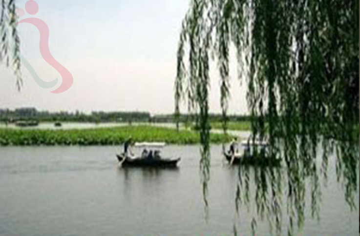 河北保定安新白洋淀南门农家院 - 周边游玩