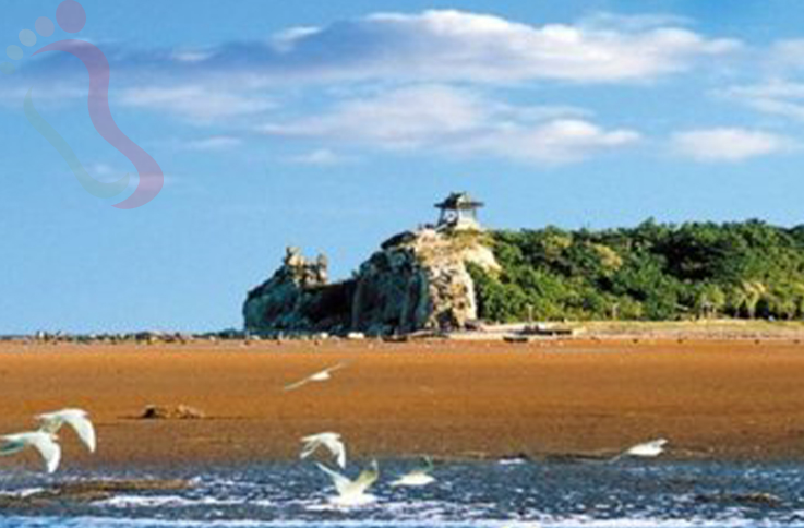 河北秦皇岛北戴河区北戴河紫研旅馆 - 周边游玩