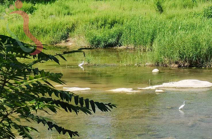 北京密云清水河乐野漫居民宿-密云旅游清水河农家院密云民宿密云清水河民宿 - 图片9