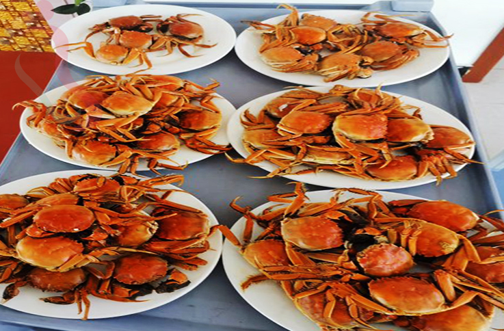 辽宁大连长海县格仙岛天天好渔家 - 餐饮介绍