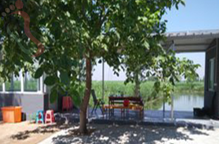 河北保定安新白洋淀南门农家院 - 图片1