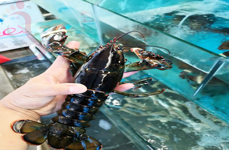 辽宁葫芦岛绥中县东戴河渔舟唱晚农家院 - 图片2